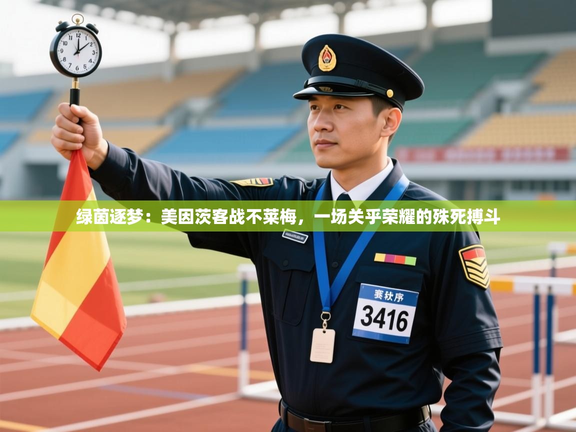 绿茵逐梦：美因茨客战不莱梅，一场关乎荣耀的殊死搏斗  第2张